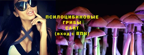 COCAINE Калининец
