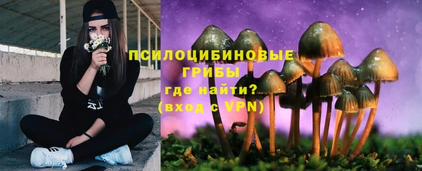 дурь Невель