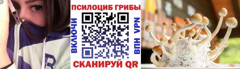 Псилоцибиновые грибы Psilocybine cubensis  купить наркотик  МЕГА сайт  Аткарск 