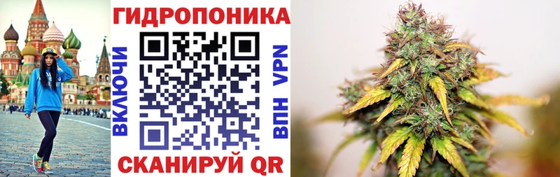кракен вход Аткарск Бошки марихуана VHQ